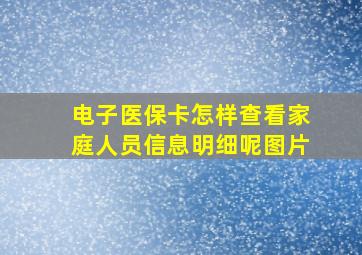 电子医保卡怎样查看家庭人员信息明细呢图片