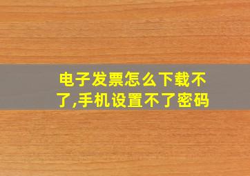 电子发票怎么下载不了,手机设置不了密码