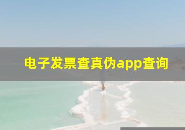 电子发票查真伪app查询