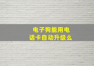 电子狗能用电话卡自动升级么