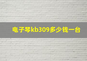 电子琴kb309多少钱一台