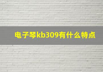 电子琴kb309有什么特点