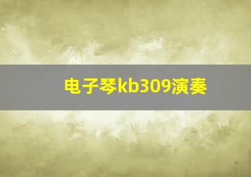 电子琴kb309演奏