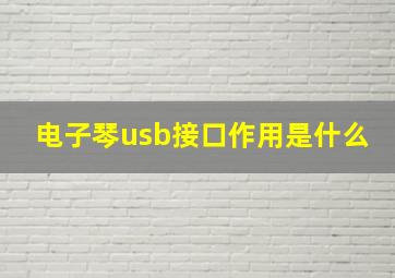 电子琴usb接口作用是什么