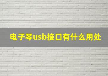 电子琴usb接口有什么用处