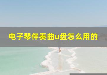 电子琴伴奏曲u盘怎么用的