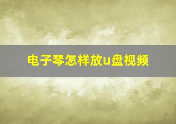 电子琴怎样放u盘视频