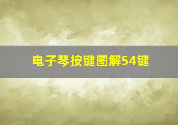 电子琴按键图解54键