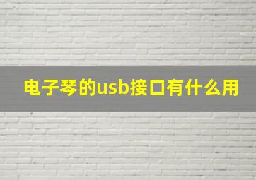 电子琴的usb接口有什么用