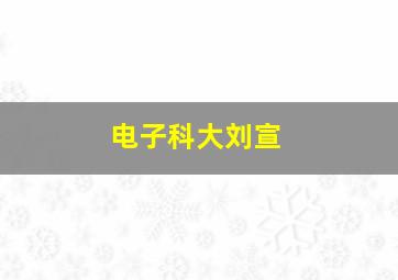 电子科大刘宣