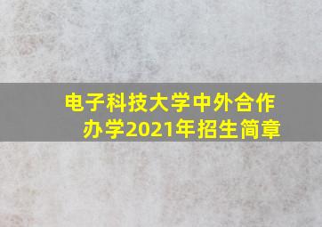 电子科技大学中外合作办学2021年招生简章