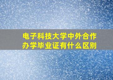 电子科技大学中外合作办学毕业证有什么区别