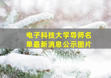 电子科技大学导师名单最新消息公示图片