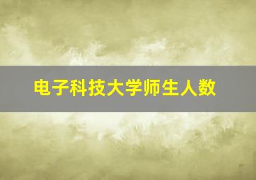 电子科技大学师生人数