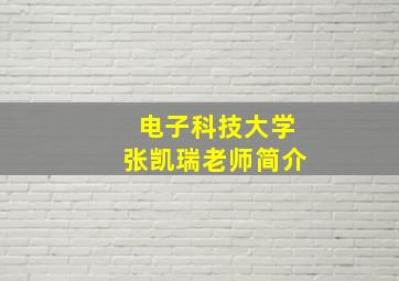 电子科技大学张凯瑞老师简介