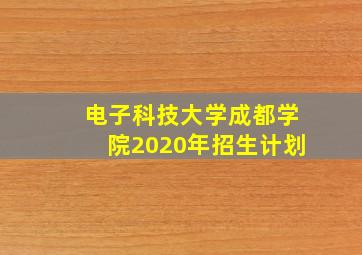 电子科技大学成都学院2020年招生计划