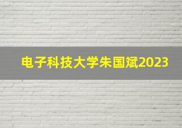 电子科技大学朱国斌2023