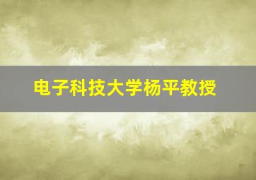 电子科技大学杨平教授