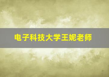 电子科技大学王妮老师