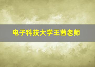 电子科技大学王茜老师