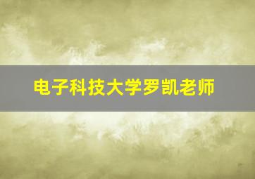 电子科技大学罗凯老师