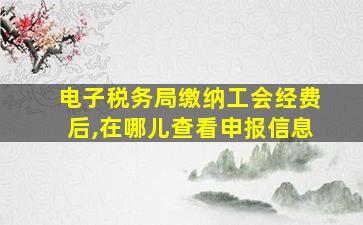 电子税务局缴纳工会经费后,在哪儿查看申报信息