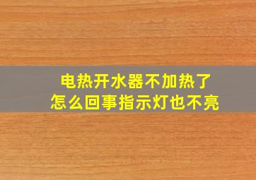 电热开水器不加热了怎么回事指示灯也不亮