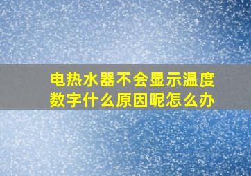 电热水器不会显示温度数字什么原因呢怎么办