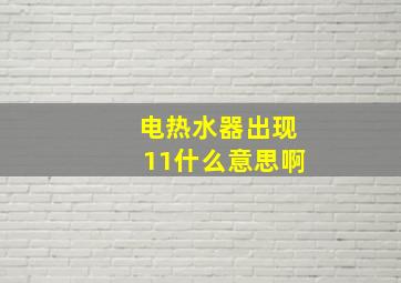 电热水器出现11什么意思啊