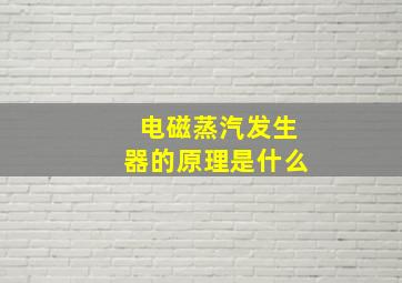 电磁蒸汽发生器的原理是什么