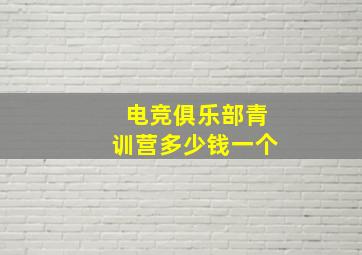 电竞俱乐部青训营多少钱一个