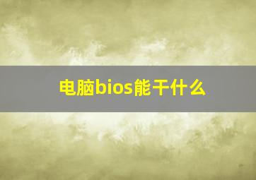 电脑bios能干什么