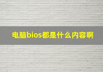 电脑bios都是什么内容啊