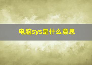 电脑sys是什么意思