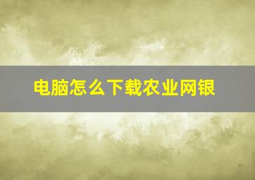 电脑怎么下载农业网银