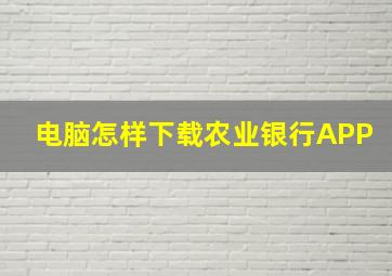 电脑怎样下载农业银行APP