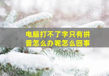 电脑打不了字只有拼音怎么办呢怎么回事