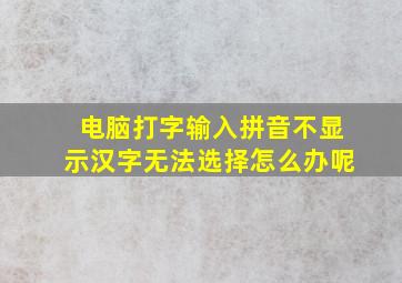 电脑打字输入拼音不显示汉字无法选择怎么办呢