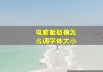 电脑版微信怎么调字体大小