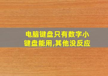 电脑键盘只有数字小键盘能用,其他没反应