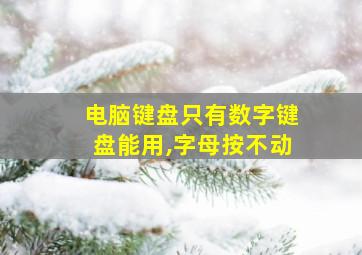 电脑键盘只有数字键盘能用,字母按不动