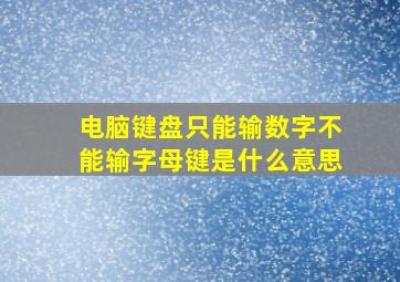 电脑键盘只能输数字不能输字母键是什么意思