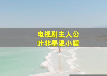 电视剧主人公叶非墨温小暖