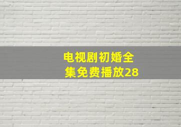 电视剧初婚全集免费播放28