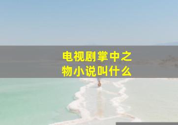 电视剧掌中之物小说叫什么