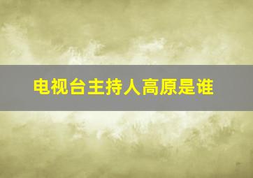 电视台主持人高原是谁