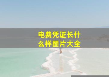 电费凭证长什么样图片大全