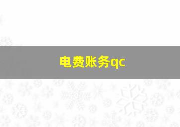 电费账务qc