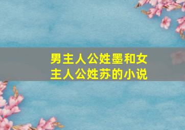 男主人公姓墨和女主人公姓苏的小说