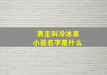 男主叫冷冰寒小说名字是什么